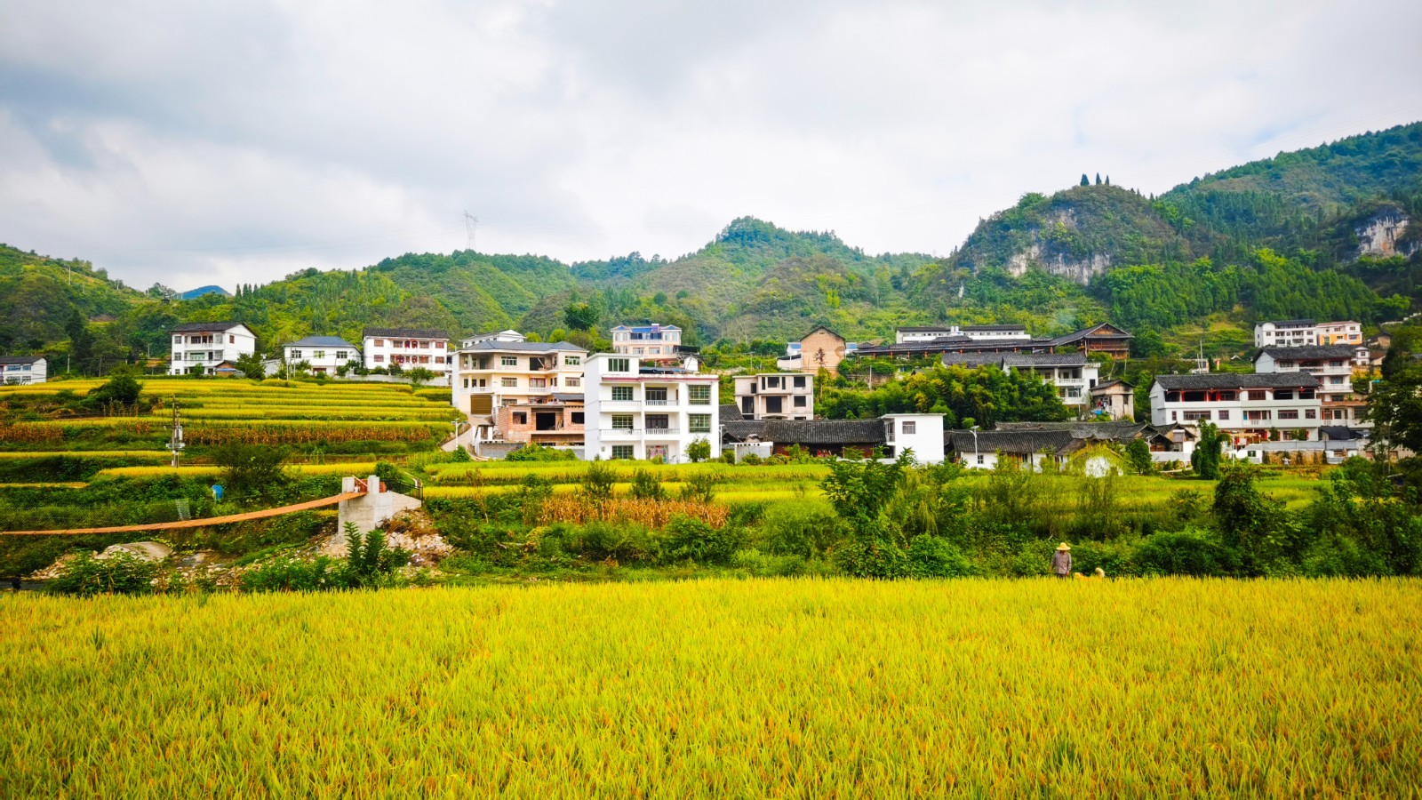 贵州和美乡村展盛景秋染沃野又丰收