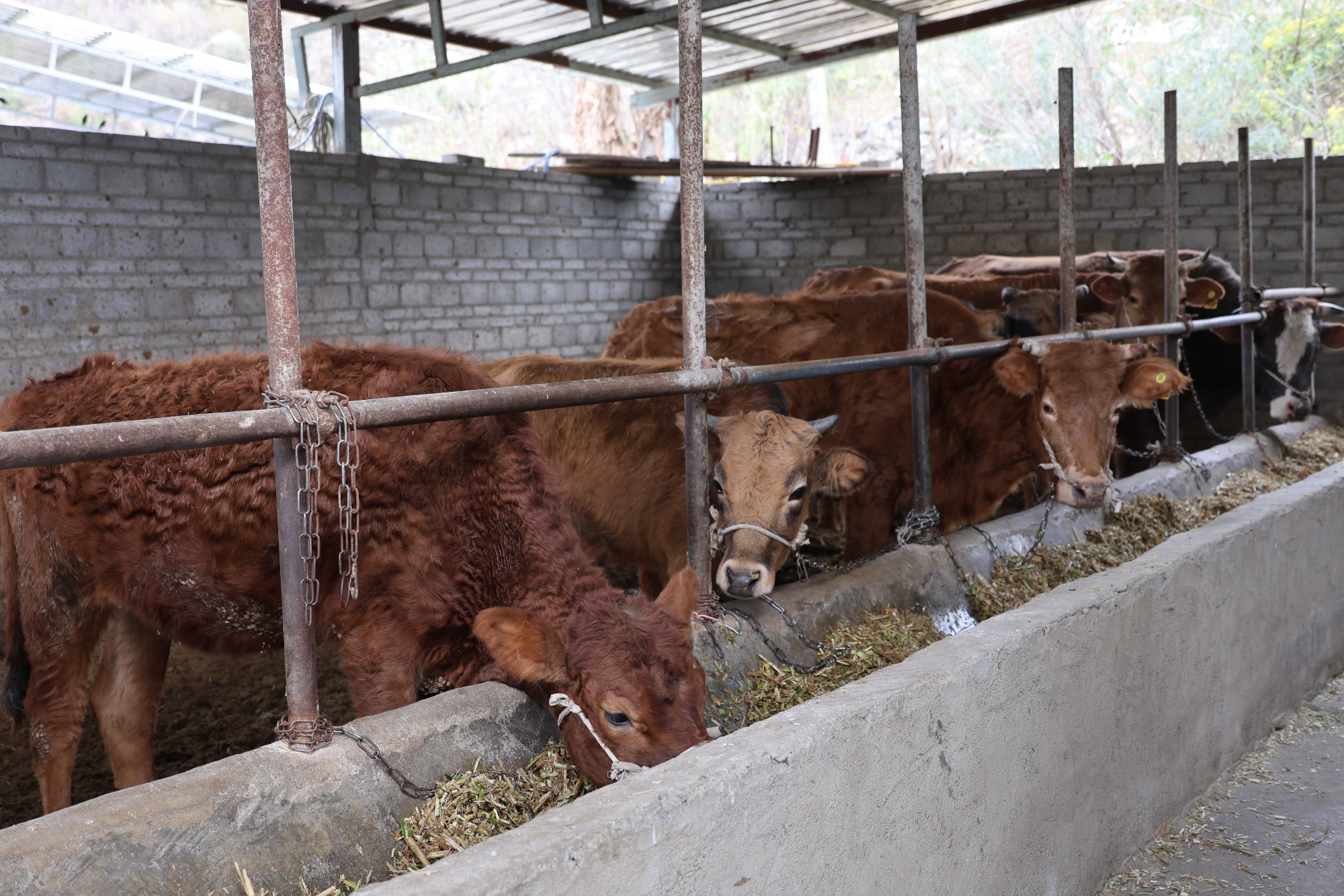 中国农业农村信息网